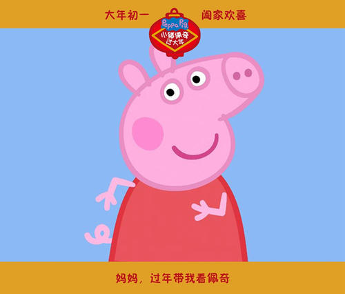办假的文莱驾驶证