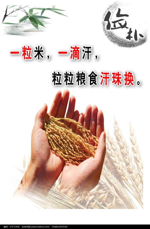 彼德伯勒地区学院本科毕业证